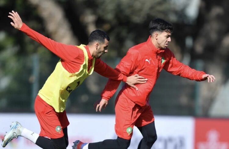 الأسود تبدء التحضير لمواجهة مالي غي غياب سايس وحضور بلعمري